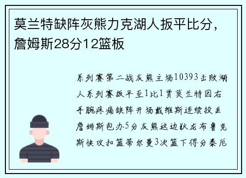莫兰特缺阵灰熊力克湖人扳平比分，詹姆斯28分12篮板